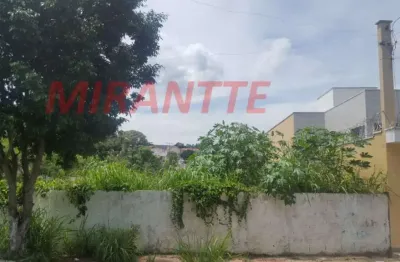 Terreno à venda na Rua Arlindo Pasqualini, Jardim Leonor Mendes de Barros, São Paulo