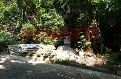 Terreno à venda na Rua Coronel Agostinho da Fonseca, Jardim Ibiratiba, São Paulo