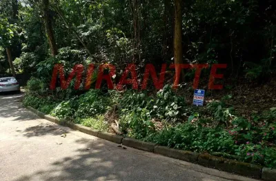 Terreno à venda na Rua Coronel Agostinho da Fonseca, Jardim Ibiratiba, São Paulo