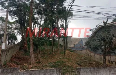 Terreno à venda na Rua Miguel Maia, Horto Florestal, São Paulo