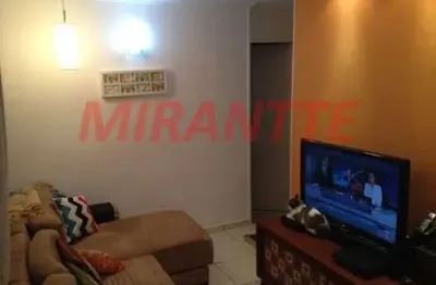 Apartamento com 2 quartos à venda na Rua Franklin do Amaral, Vila Nova Cachoeirinha, São Paulo