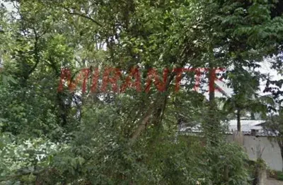 Terreno à venda na Rua Capitão Luís Rodrigues de Albuquerque, Vila Irmãos Arnoni, São Paulo