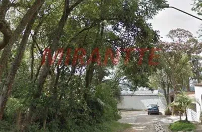 Terreno à venda na Rua Capitão Luís Rodrigues de Albuquerque, Vila Irmãos Arnoni, São Paulo