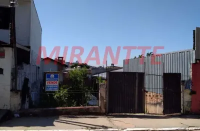 Terreno à venda na Avenida Senador José Ermírio de Moraes, Vila Albertina, São Paulo