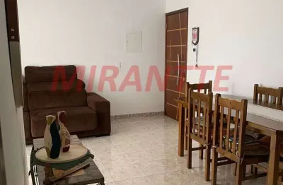 Apartamento de 67m² com 3 quartos em horto florestal