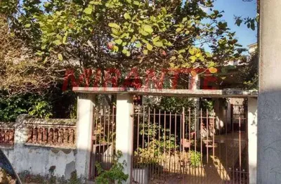 Casa com 3 quartos à venda na Rua Joaquim Rodrigues Costa, Vila Maria Alta, São Paulo