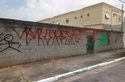 Terreno à venda na Rua Celso Vieira, Pirituba, São Paulo