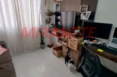 Apartamento com 1 quarto à venda na Rua Epaminondas Melo do Amaral, Imirim, São Paulo