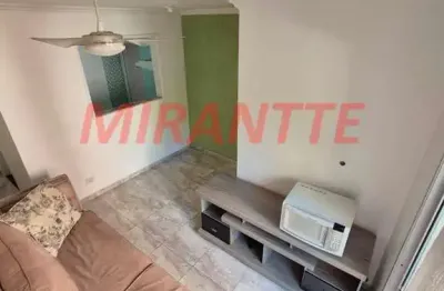 Apartamento com 2 quartos à venda na Rua José Ferreira de Castro, Vila Amélia, São Paulo