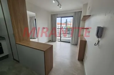 Apartamento de 30m² com 1 quartos em jardim são paulo