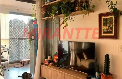 Apartamento com 1 quarto à venda na Rua Cuxiponês, Sumaré, São Paulo