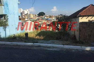 Terreno à venda na Rua Silvério de Carvalho, Limão, São Paulo