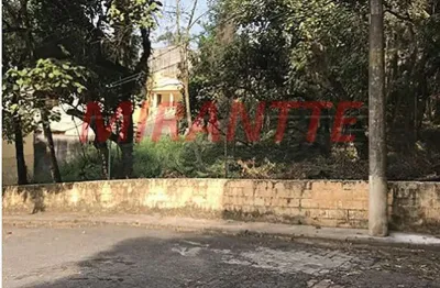 Terreno à venda na Rua Theodomiro Moraes Cunha, Horto Florestal, São Paulo