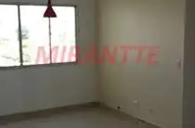 Apartamento com 2 quartos à venda na Rua Antônio Domingues Freitas, Vila Amélia, São Paulo