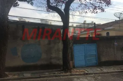 Terreno à venda na Rua Antônio Ferreira da Silva, Parque Mandaqui, São Paulo