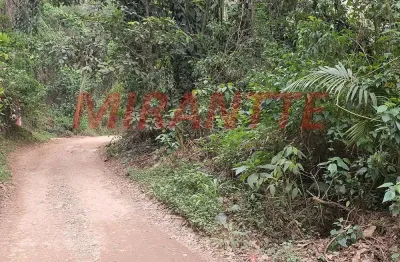 Terreno à venda na Alameda dos Ipês, Serra da Cantareira, São Paulo