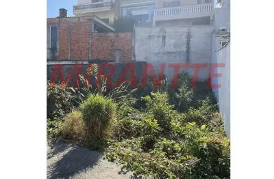 Terreno à venda na Rua Santa Veridiana, Vila Maria Alta, São Paulo