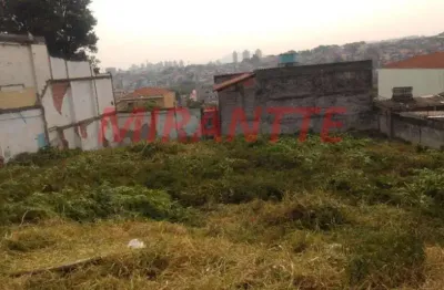 Terreno à venda na Avenida Deputado Emílio Carlos, Limão, São Paulo