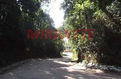 Terreno à venda na Rodovia Fernão Dias, Serra da Cantareira, São Paulo