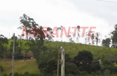 Terreno à venda na Rodovia Fernão Dias, Jardim Adutora, São Paulo