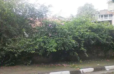 Casa com 2 quartos à venda na Avenida Júlio Prestes, Jardim Campos, São Paulo