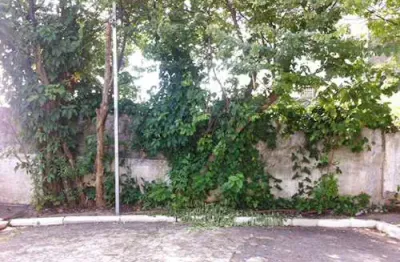 Terreno à venda na Rua Professor Luís Lucchini, Mandaqui, São Paulo