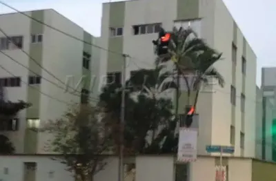 Apartamento de 58m² com 2 quartos em vila guilherme