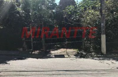 Terreno à venda na Rua da Esperança, Vila Gustavo, São Paulo