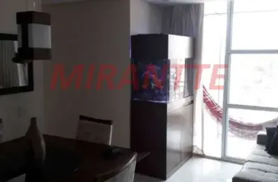 Apartamento com 3 quartos à venda na Rua Olívio D'Assunção Ferreira, Mooca, São Paulo