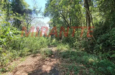 Terreno em condomínio fechado à venda na Rua Palmas Do Sul, Serra da Cantareira, São Paulo