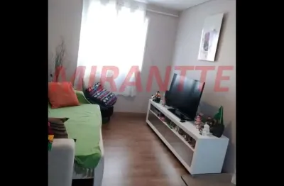Apartamento com 2 quartos à venda na Rua Márcio Mazzei, Vila Mazzei, São Paulo