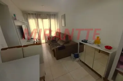 Apartamento com 2 quartos à venda na Rua Nicolau Tolentino de Almeida, Vila Dionisia, São Paulo