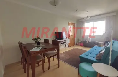 Apartamento de 50m² com 2 quartos em santa terezinha