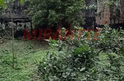 Terreno à venda na Rua Maria Curupaiti, Vila Ester, São Paulo