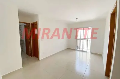 Apartamento com 2 quartos à venda na Rua Pelegrino, Santa Teresinha, São Paulo