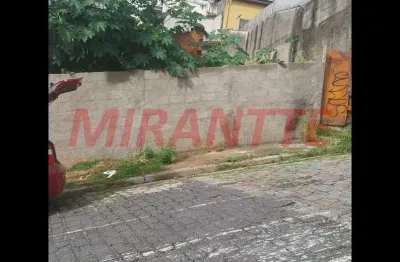 Terreno à venda na Rua Nicola Nicodemo, Vila Celeste, São Paulo