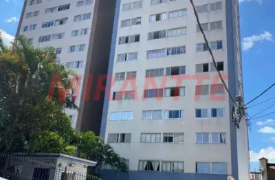 Apartamento de 73m² com 3 quartos em jardim são paulo