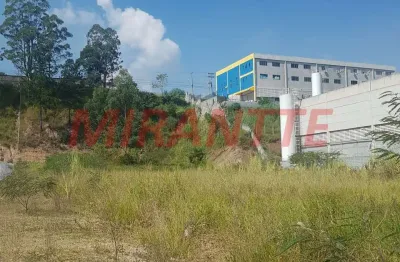 Terreno à venda na Avenida David Kasitzky, Vila Rosina, Caieiras