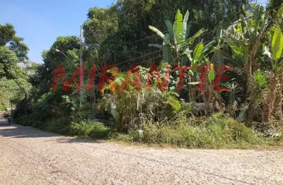 Terreno em condomínio fechado à venda na Rua dos Pinheiros, Serra da Cantareira, São Paulo