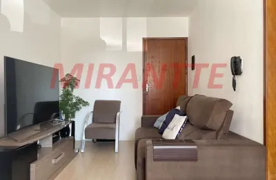 Apartamento de 57m² com 2 quartos em jardim flor da montanha