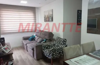 Apartamento de 2500m² com 2 quartos em jardim flor da montanha