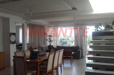 Casa com 4 quartos à venda na Rua Manuel Morais Pontes, Vila Albertina, São Paulo
