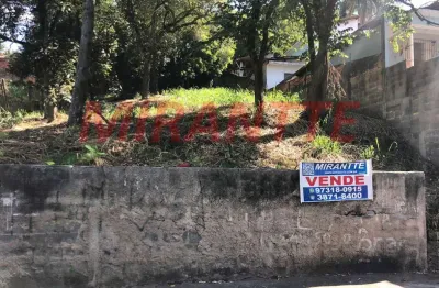 Terreno à venda na Rua Antoninho Marmo, Vila Irmãos Arnoni, São Paulo