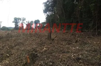 Terreno à venda na Avenida Vereador Belarmino Pereira De Carvalh, Serra da Cantareira, São Paulo
