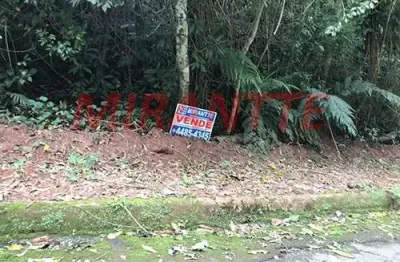 Terreno à venda na Alameda Das Paineiras, Serra da Cantareira, São Paulo