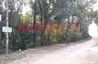 Terreno à venda na Rua 15 X Zamora, Serra da Cantareira, São Paulo