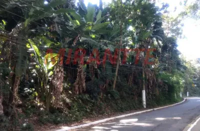 Terreno à venda na Avenida Nova Cantareira, Vila Albertina, São Paulo