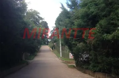 Terreno à venda na Alameda Dos Cristais, Serra da Cantareira, São Paulo