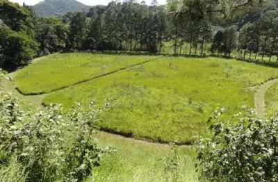 Terreno à venda na Avenida Santa Inês, Serra da Cantareira, São Paulo