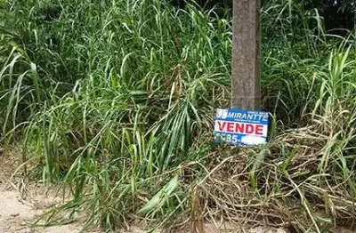 Terreno à venda na Rua dos Pinheiros, Serra da Cantareira, São Paulo